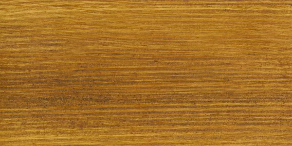 Ozols (golden oak)